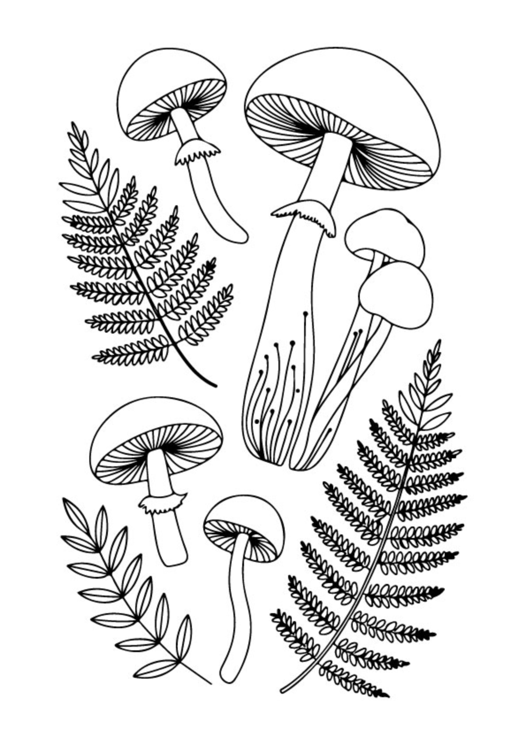 Cityscape coloring pages