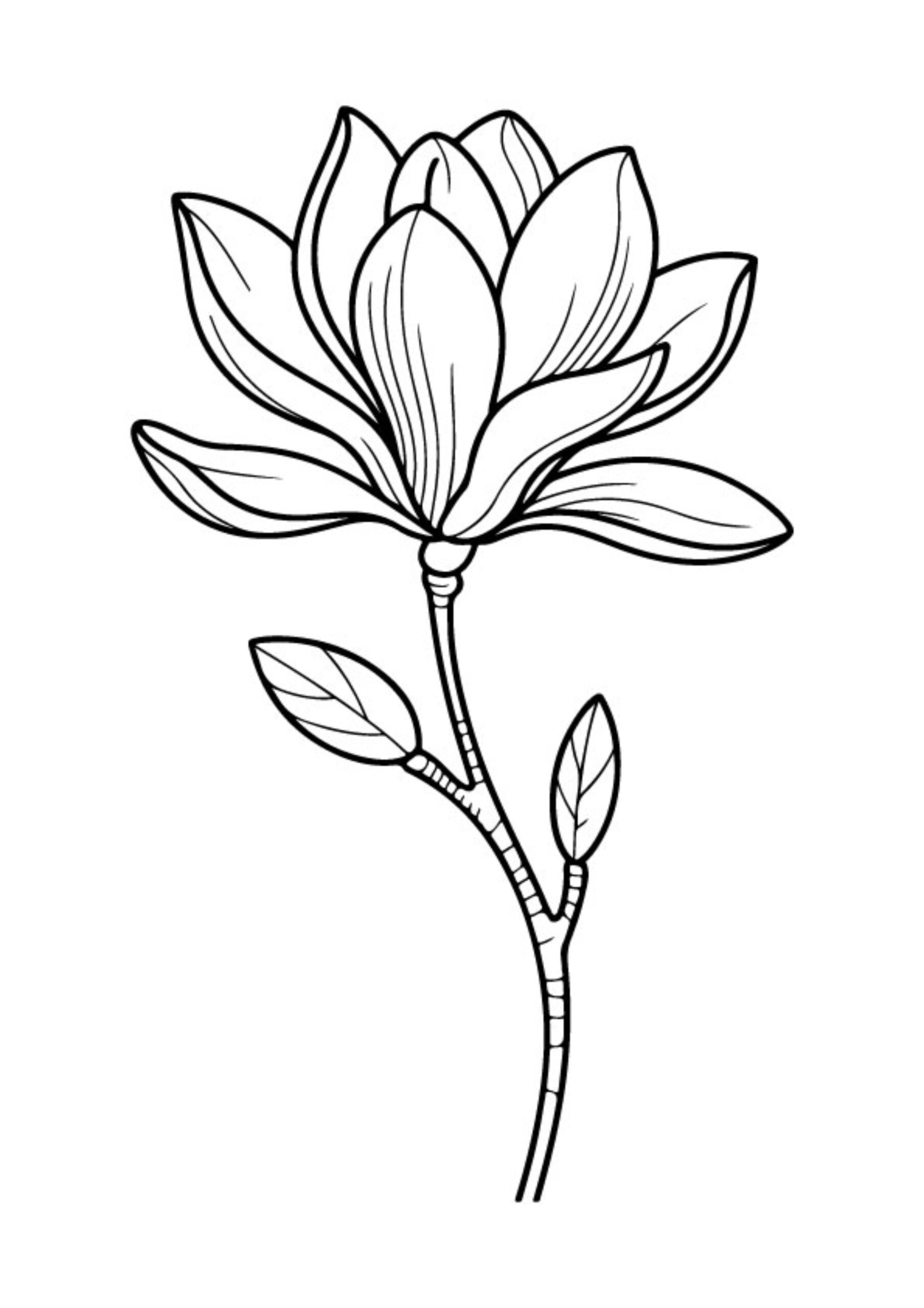 Cityscape coloring pages
