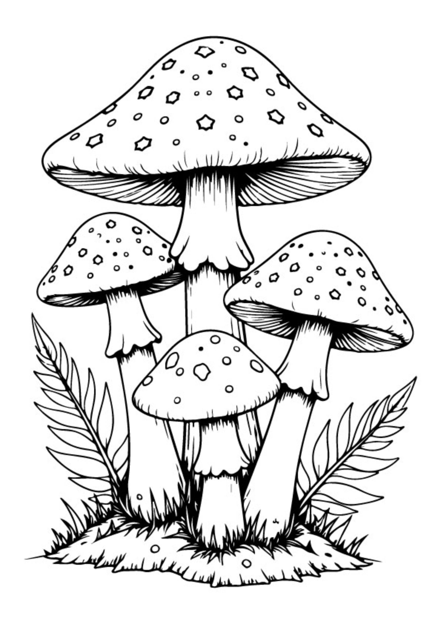 Cityscape coloring pages