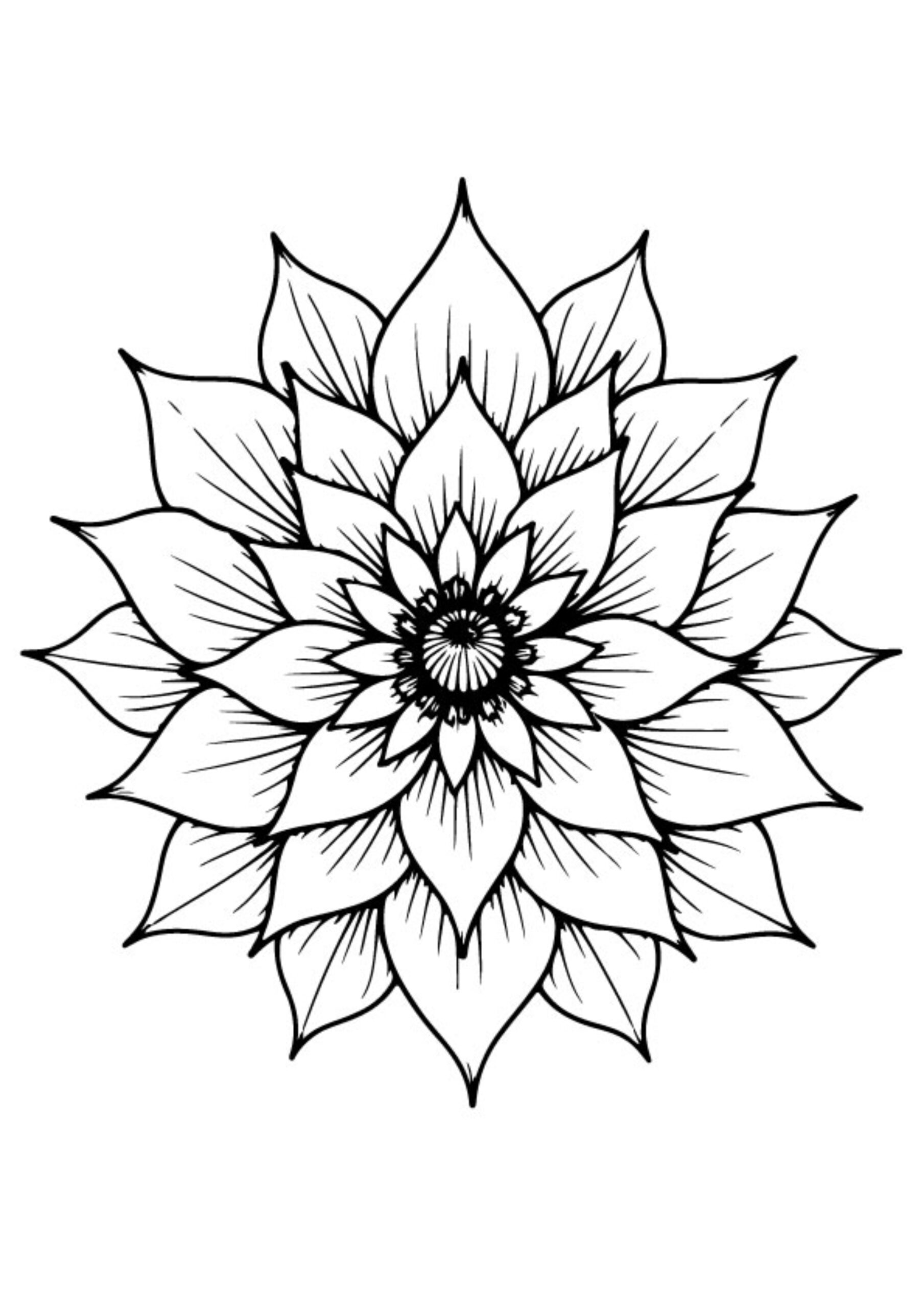 Mandala Coloring Pages