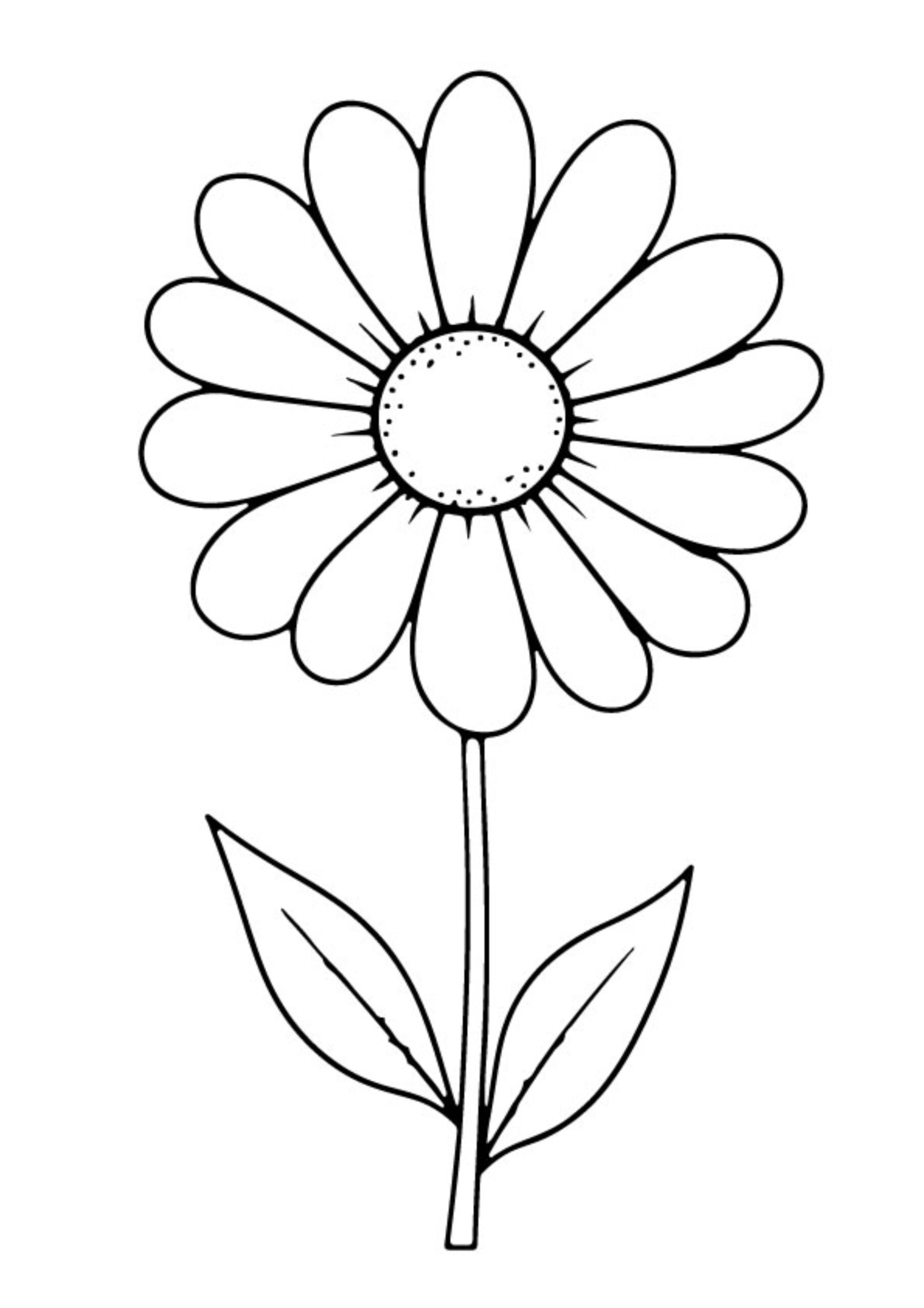Flower Coloring Pages