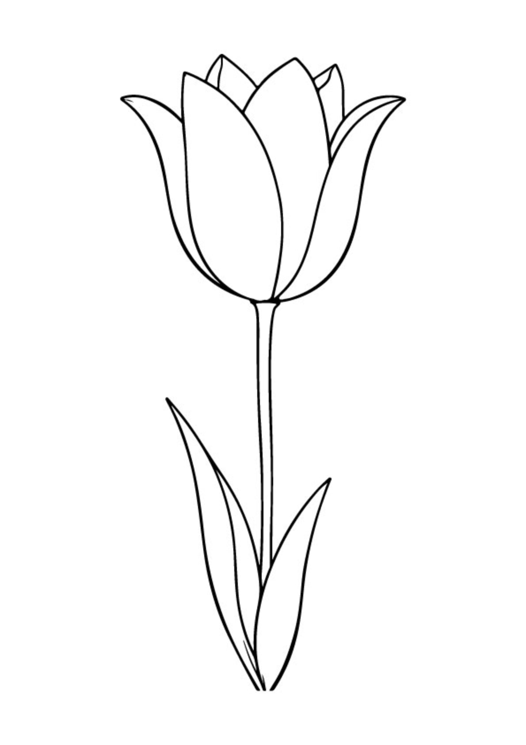 Flower Coloring Pages