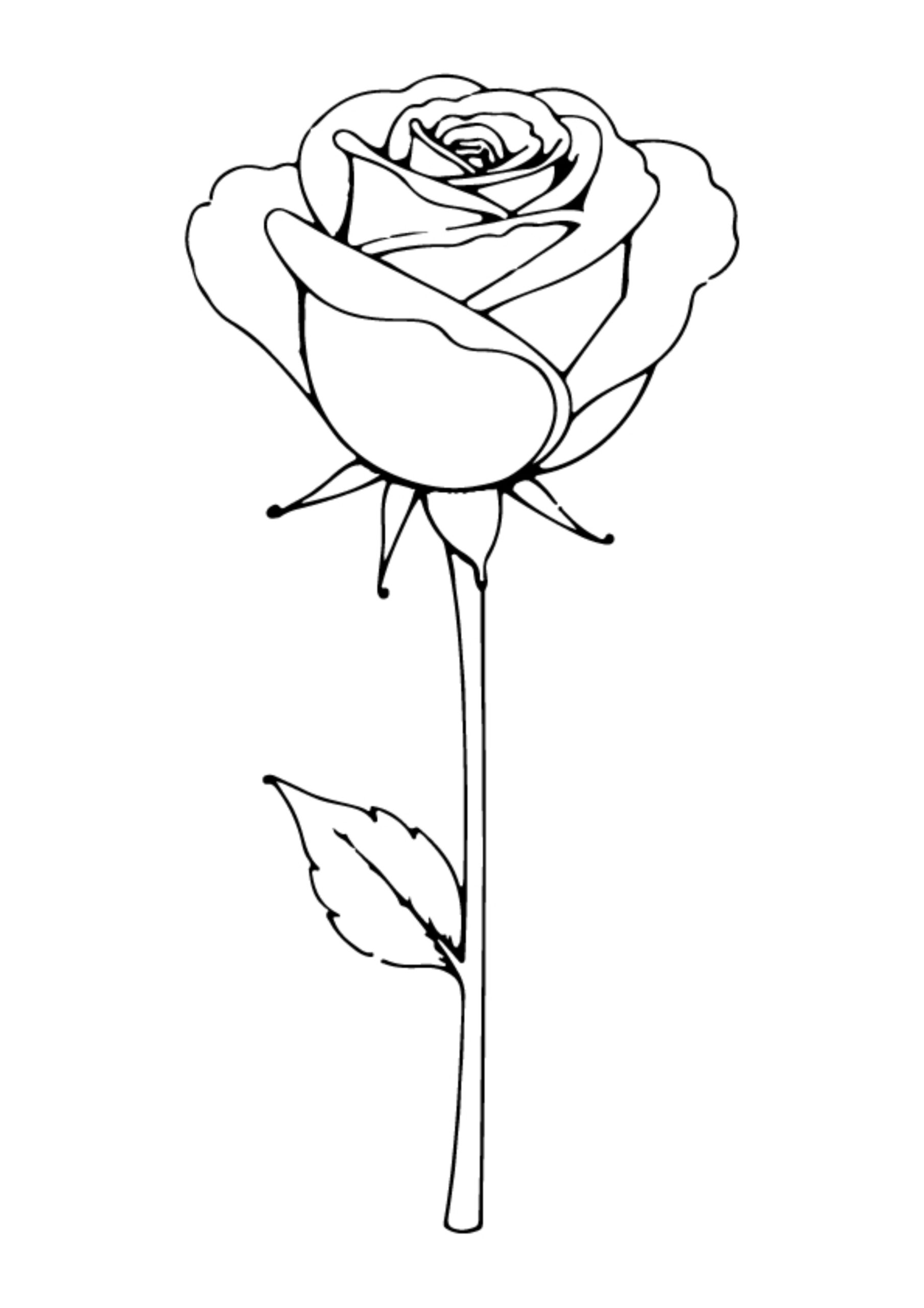 Flower Coloring Pages