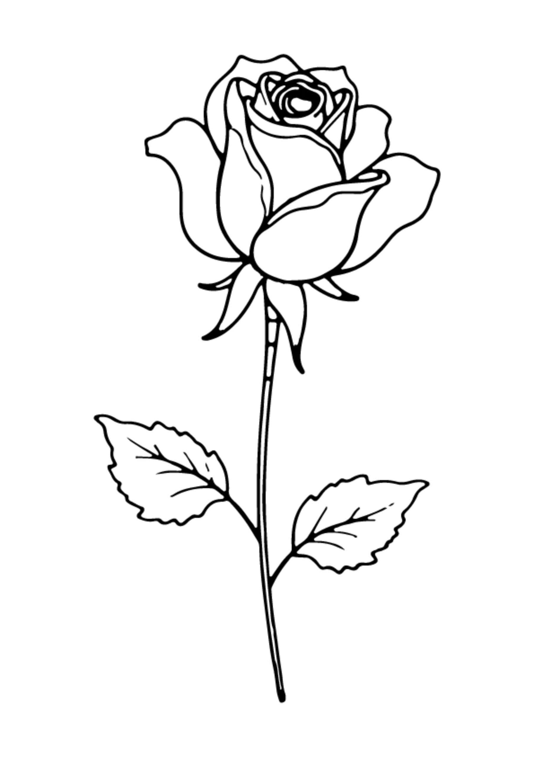 Flower Coloring Pages