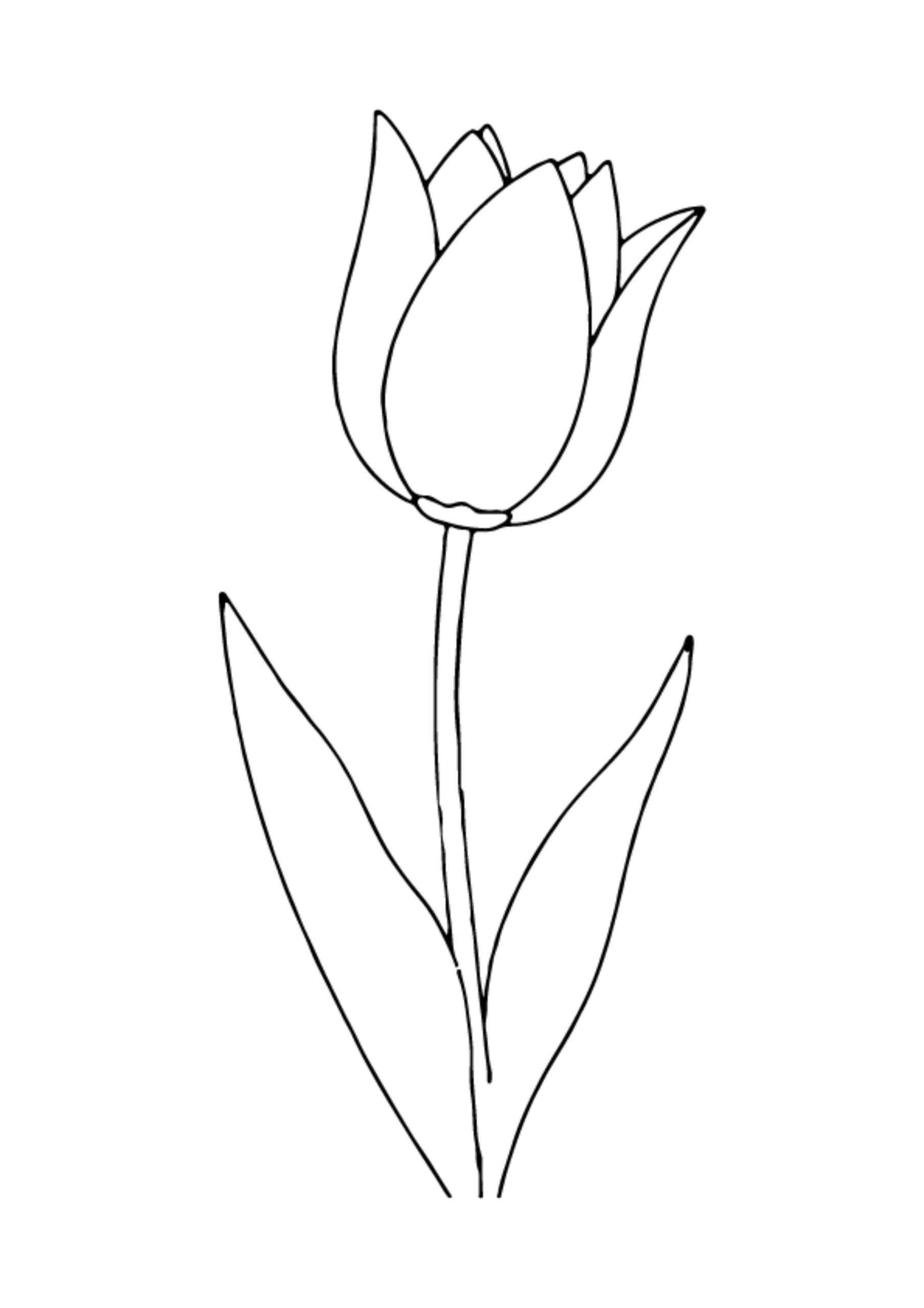 Flower Coloring Pages