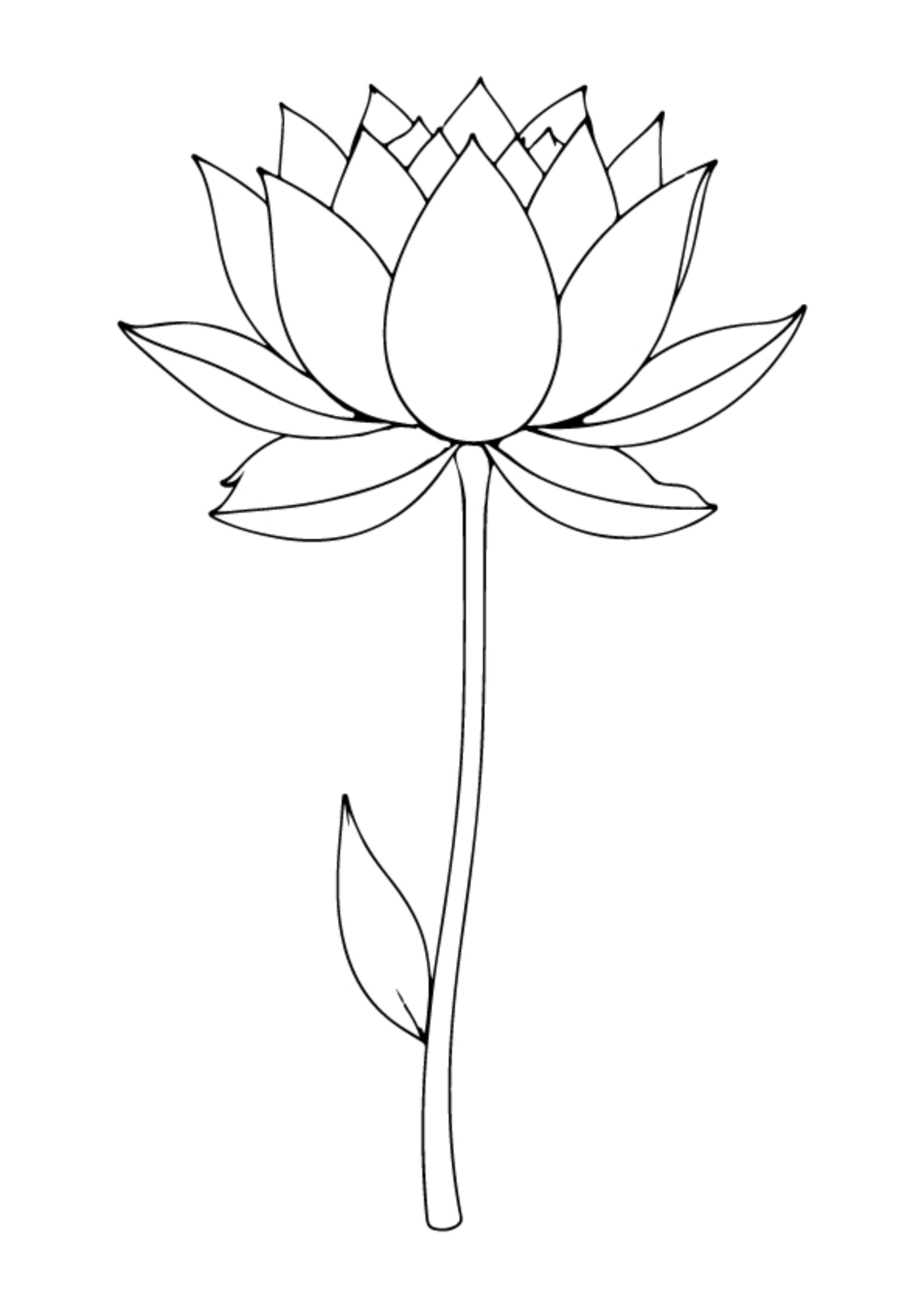 Flower Coloring Pages
