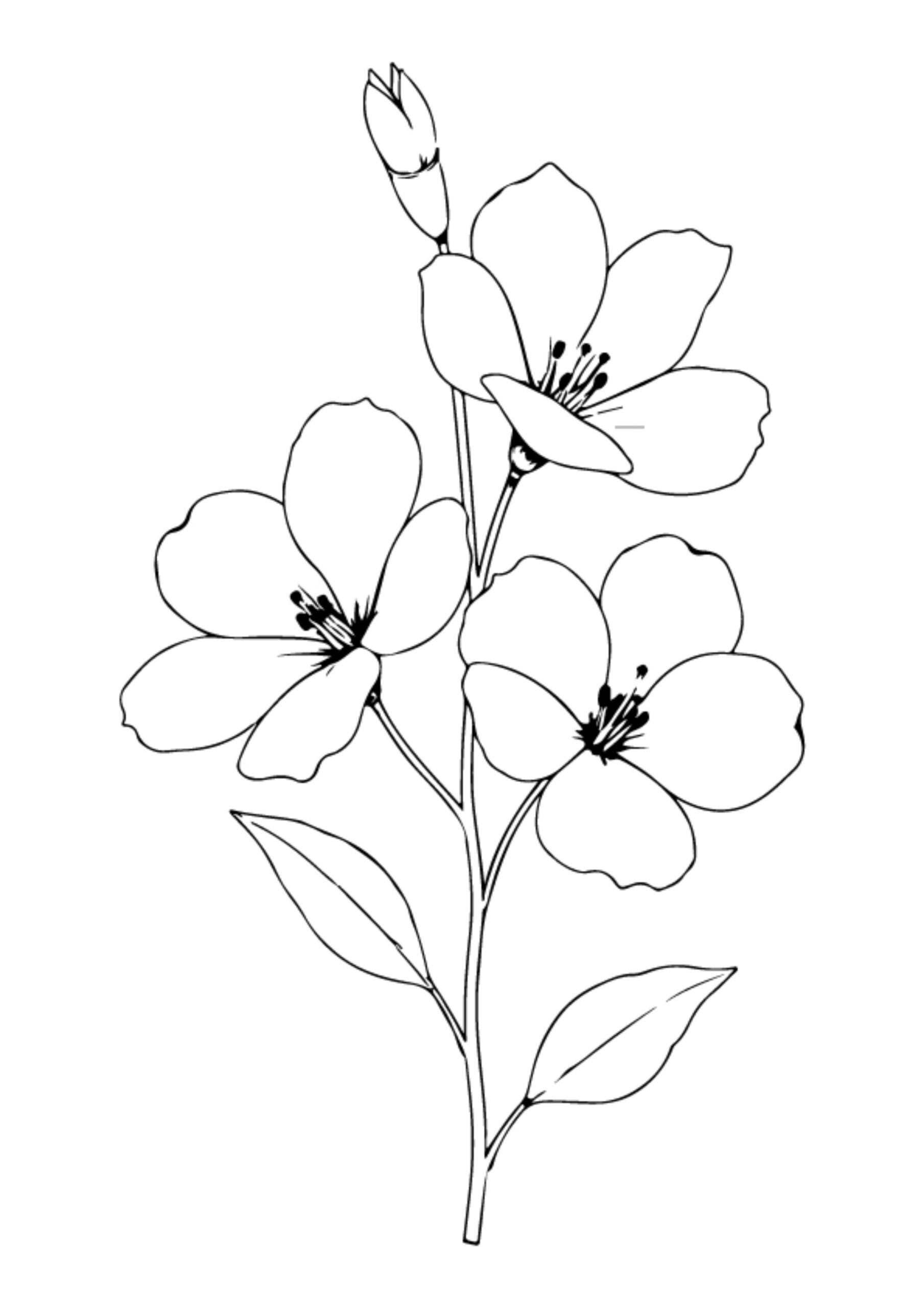 Flower Coloring Pages