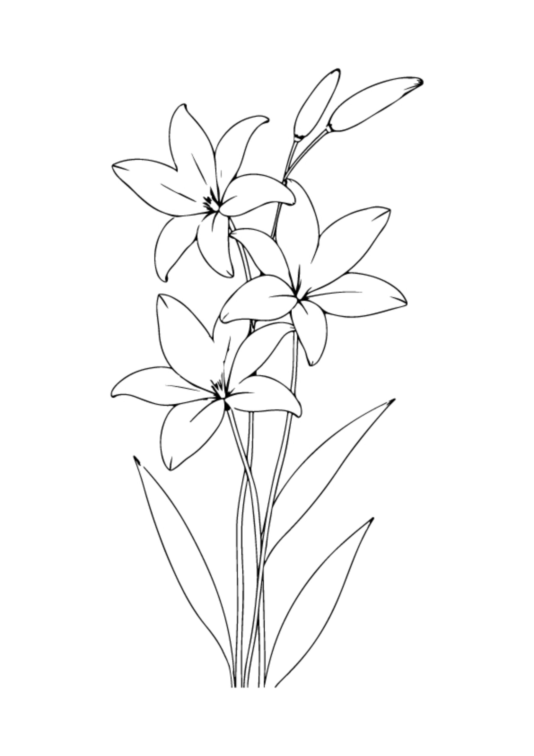Flower Coloring Pages