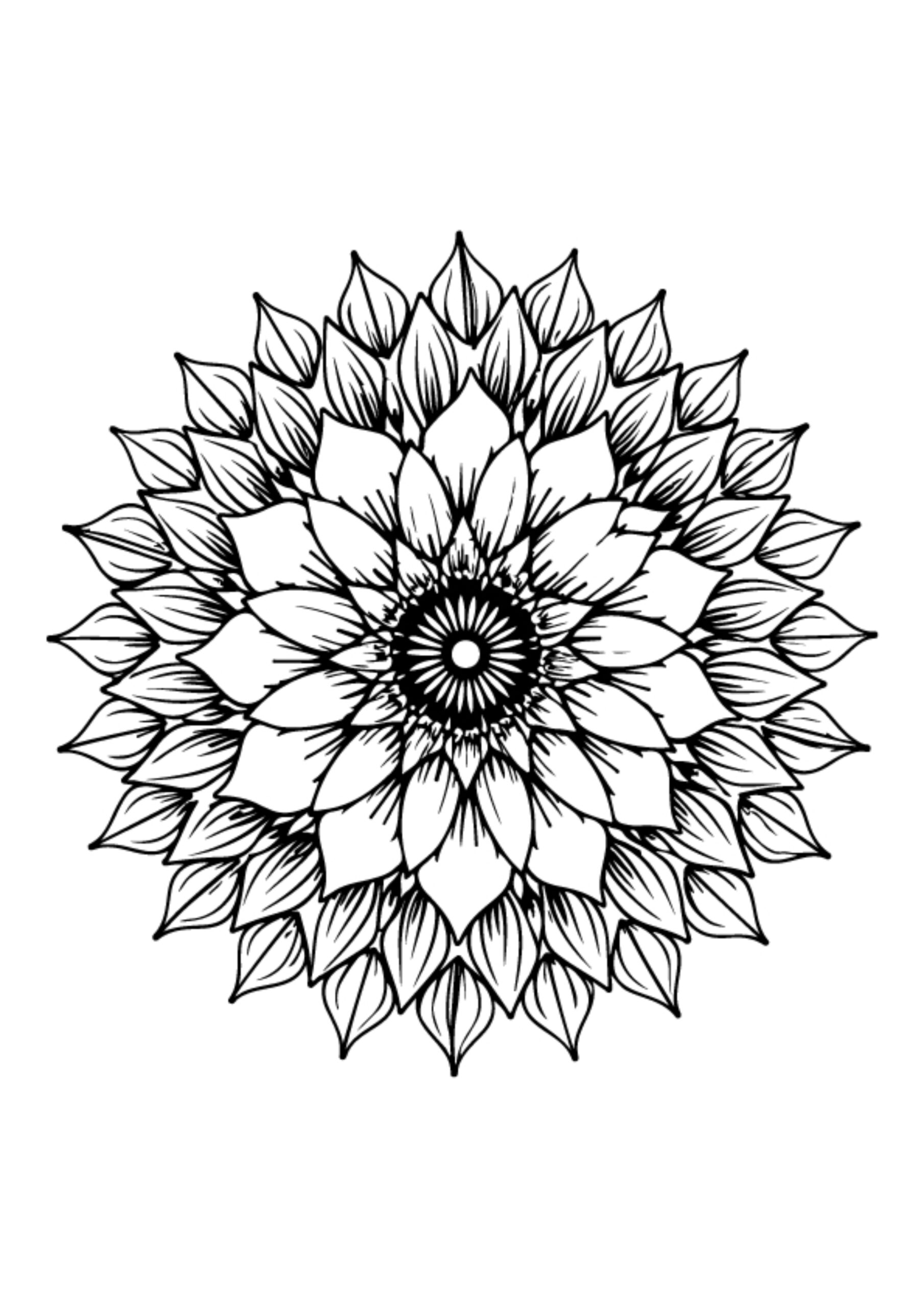 Flower Coloring Pages