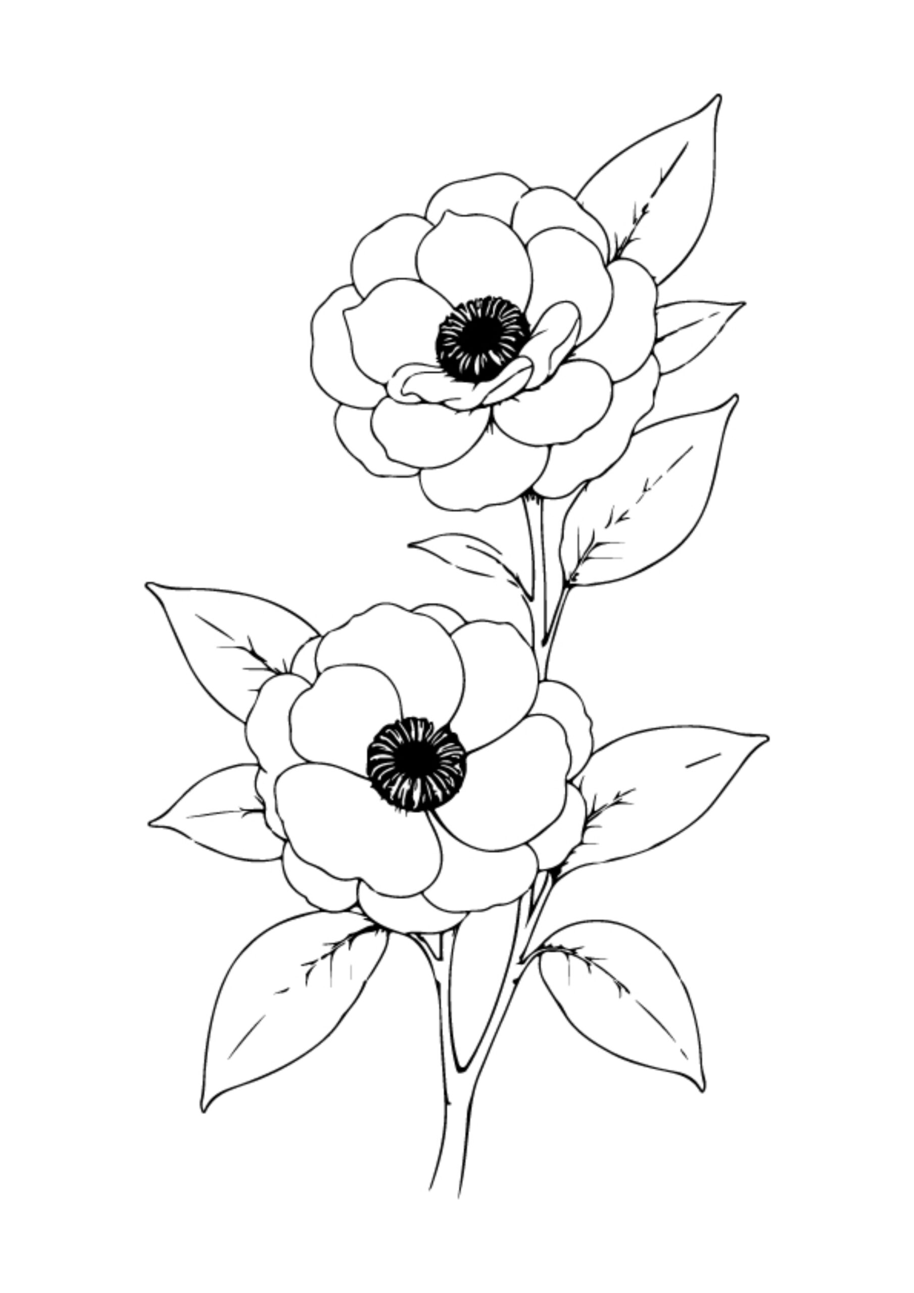 Flower Coloring Pages