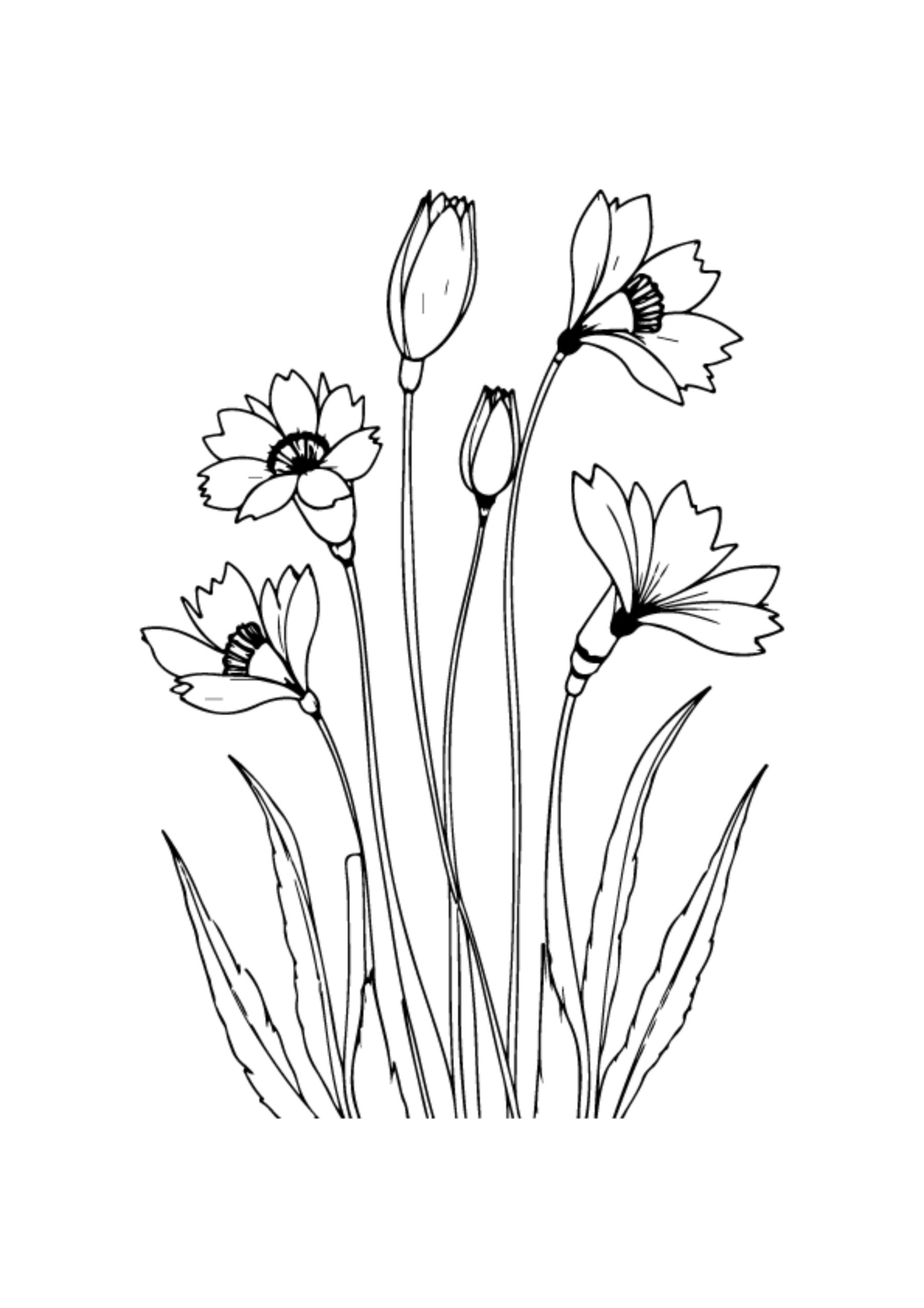 Flower Coloring Pages