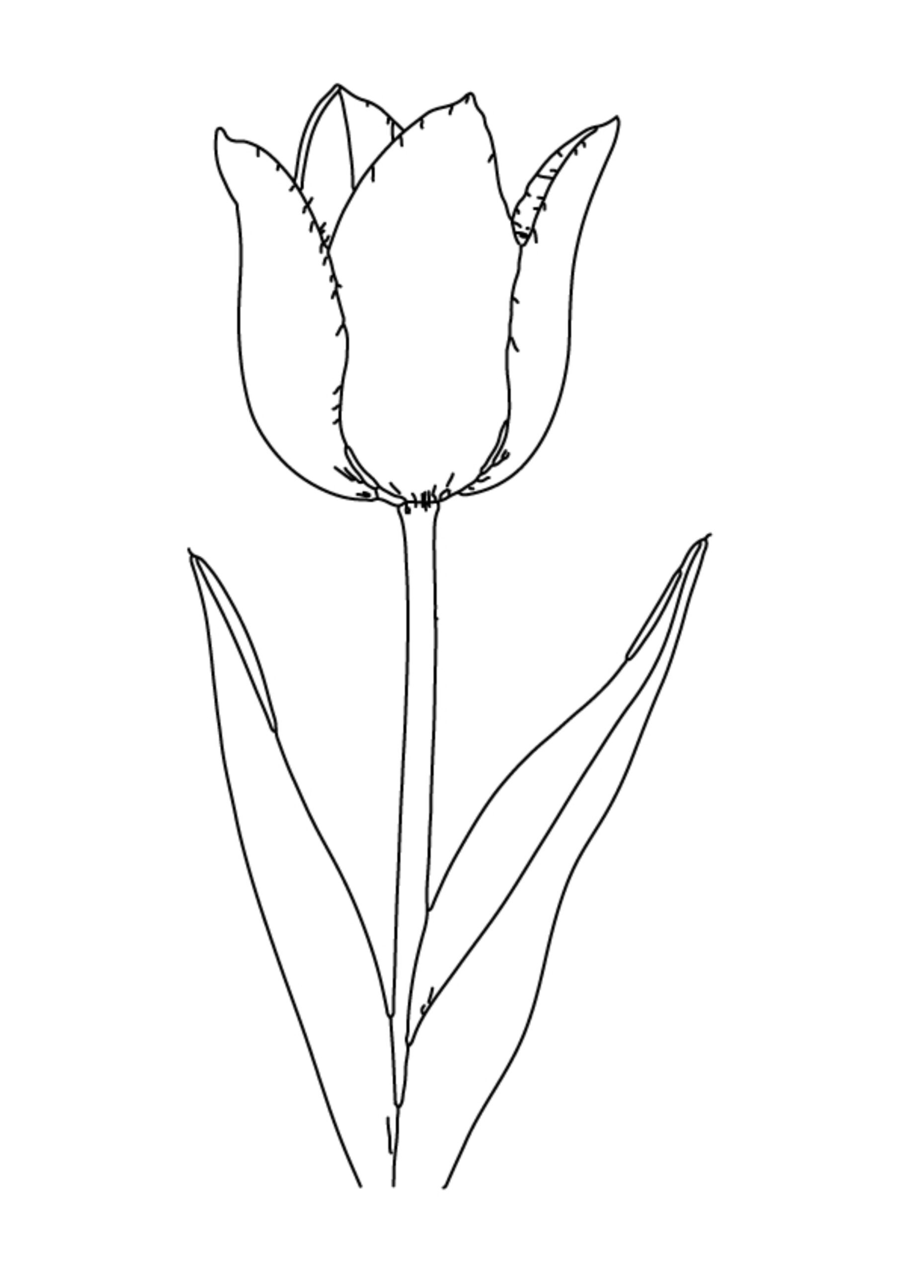 Flower Coloring Pages