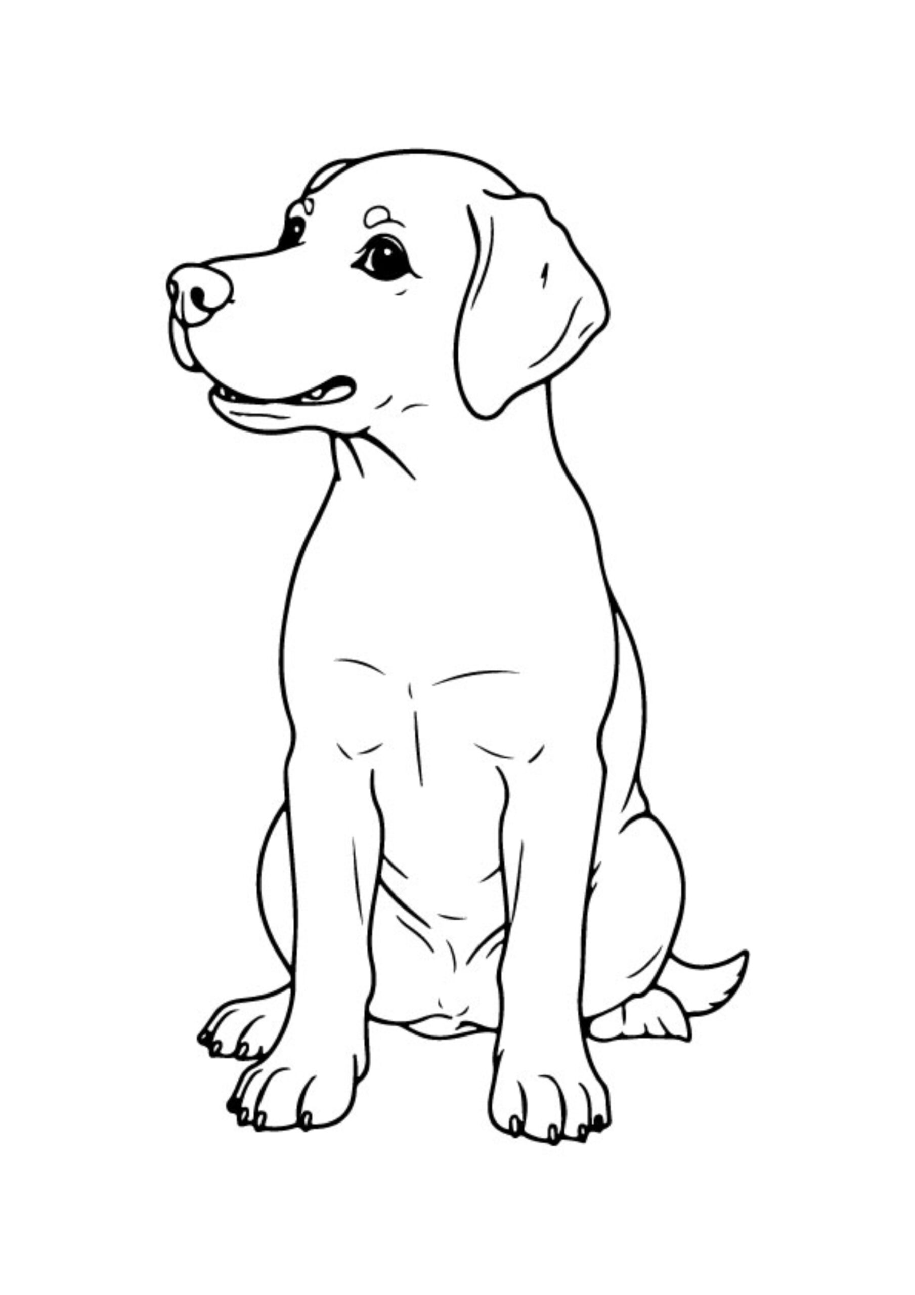 Dog Coloring Pages