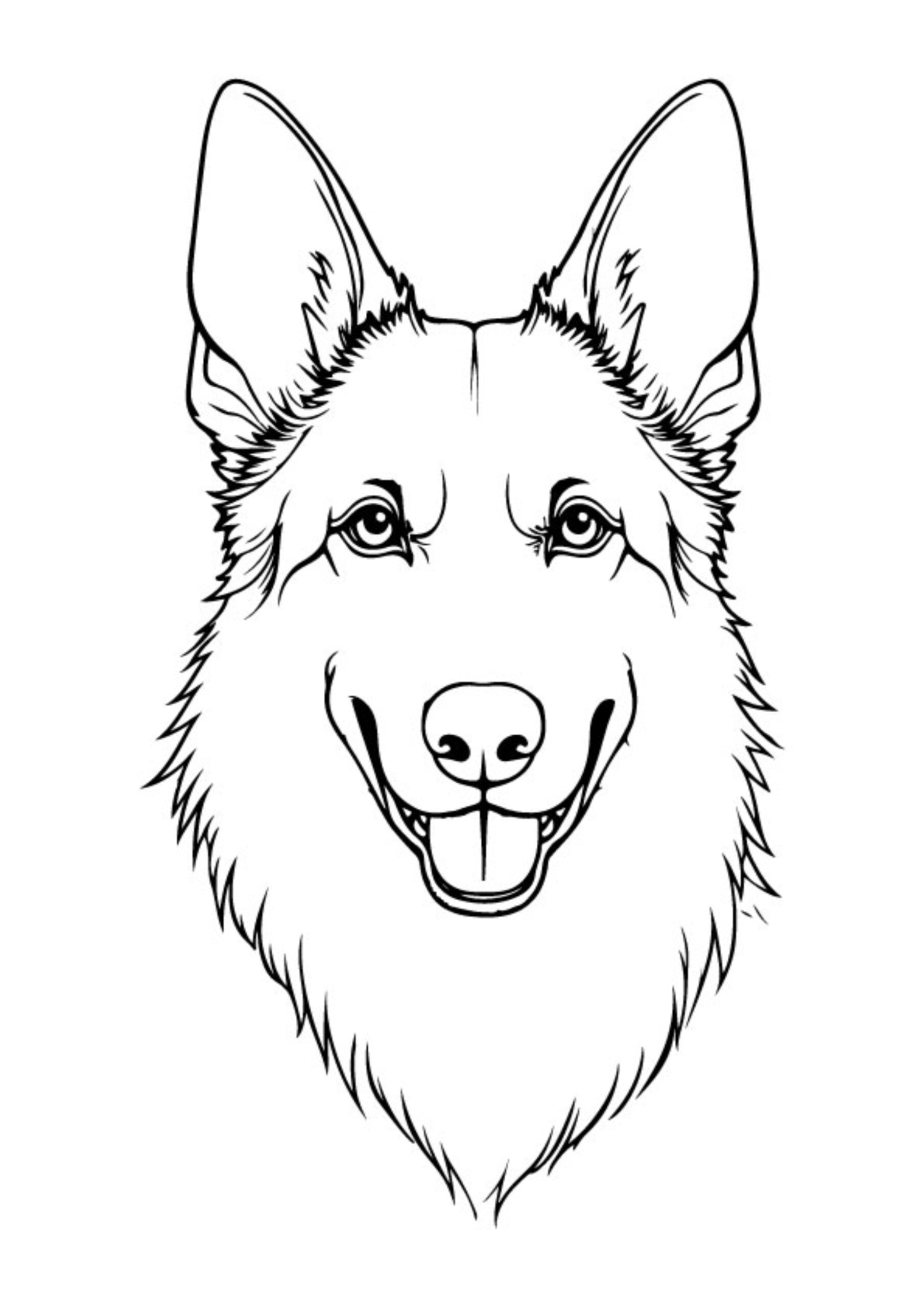 Dog Coloring Pages