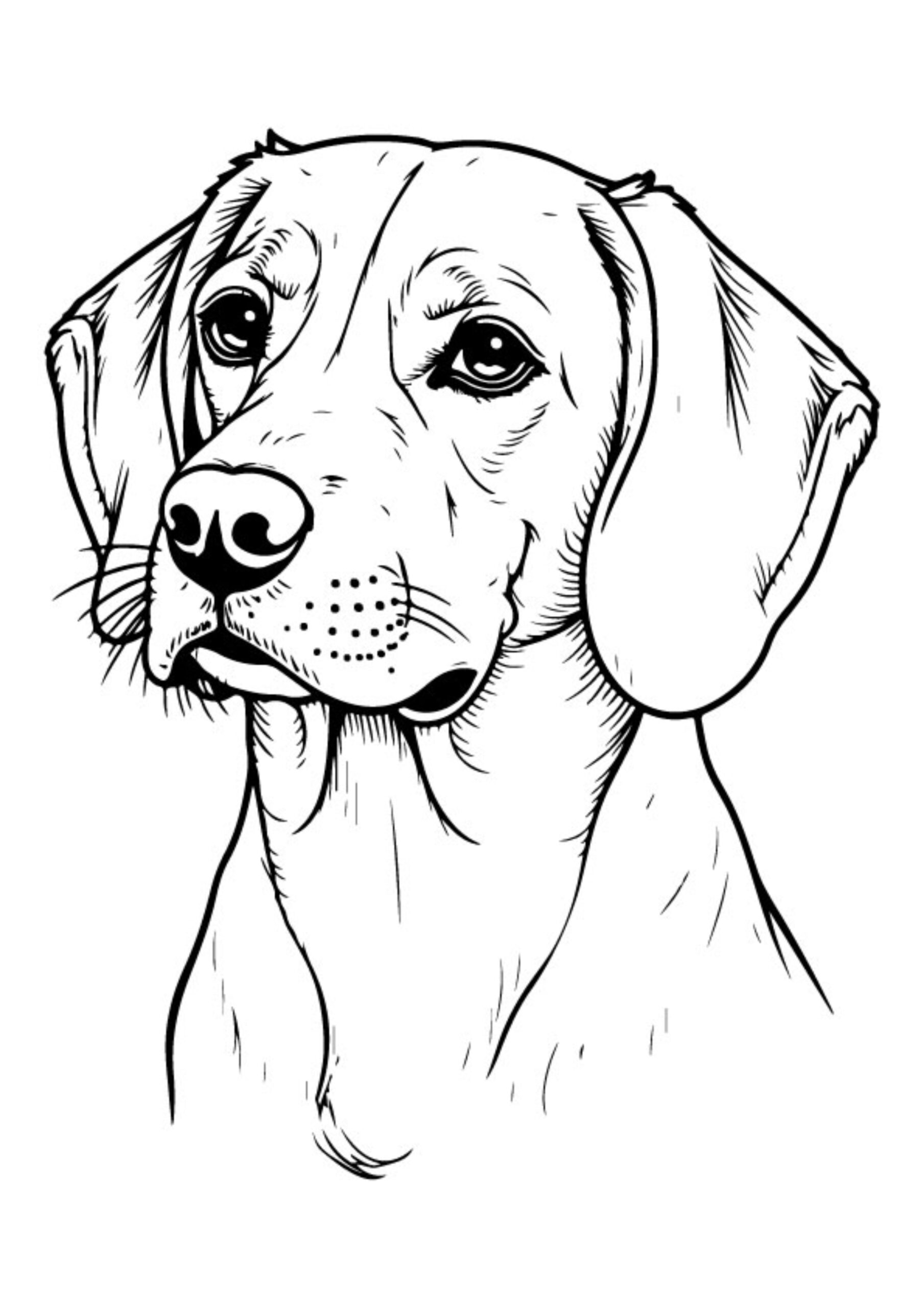 Dog Coloring Pages