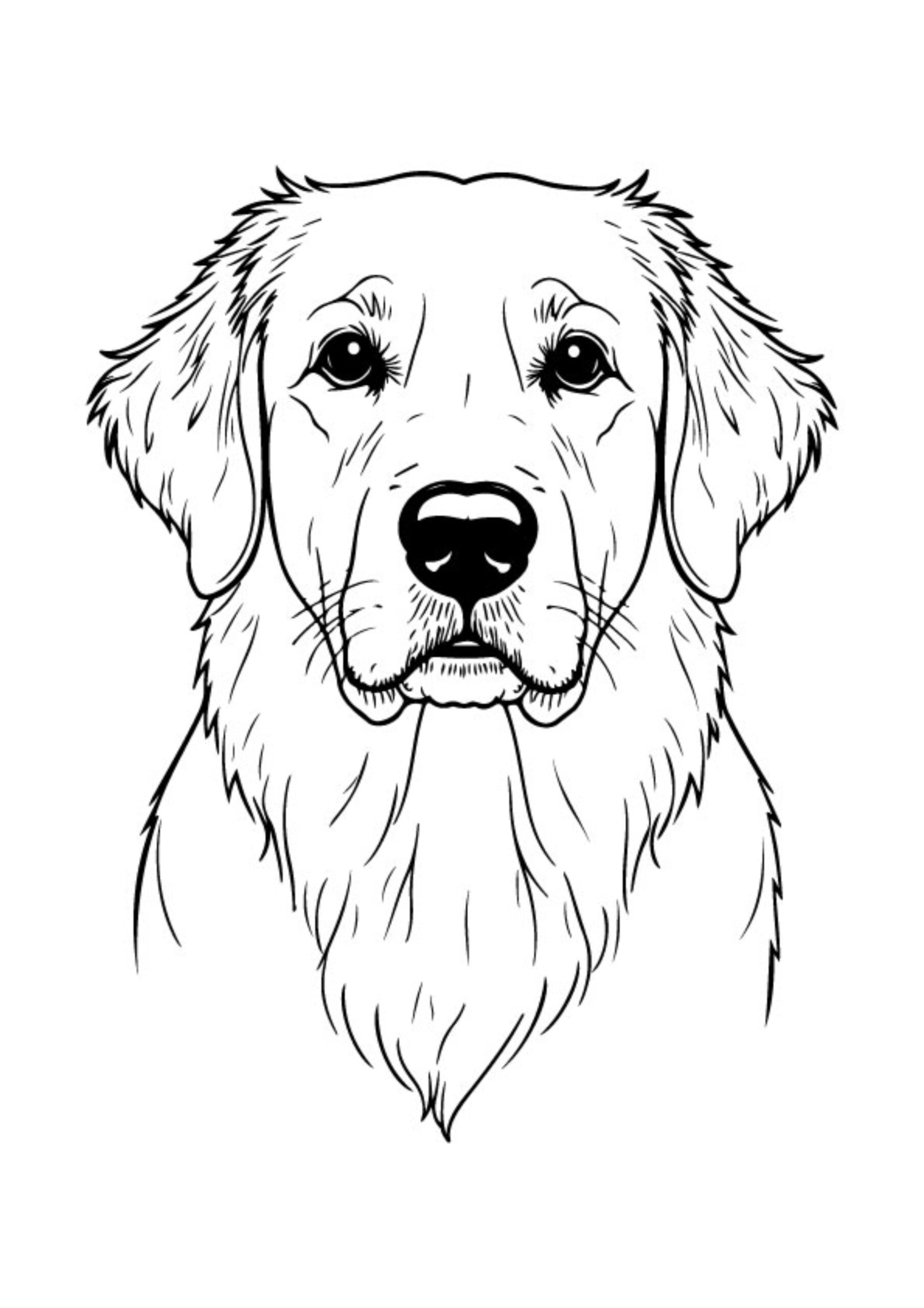 Dog Coloring Pages
