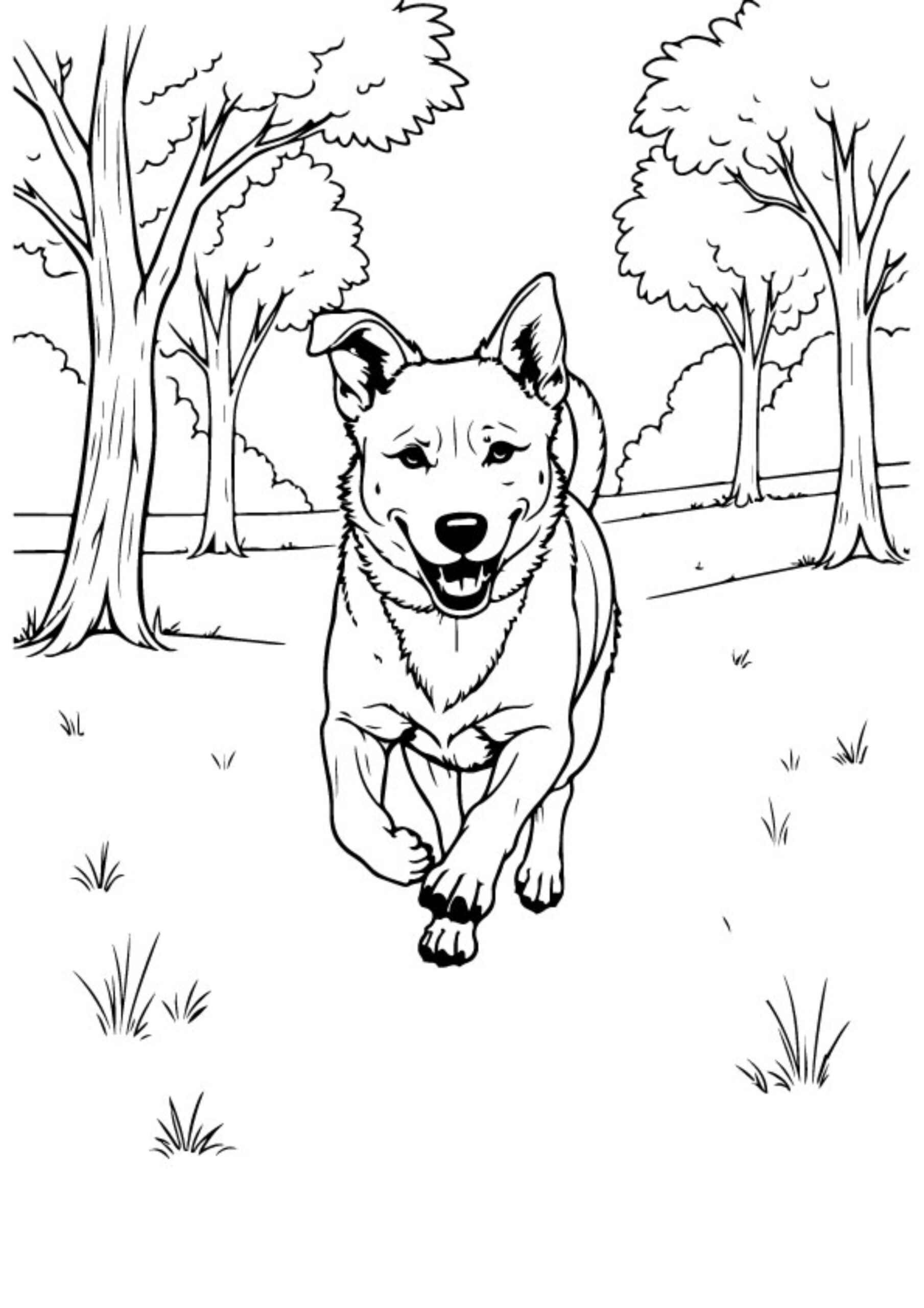 Dog Coloring Pages
