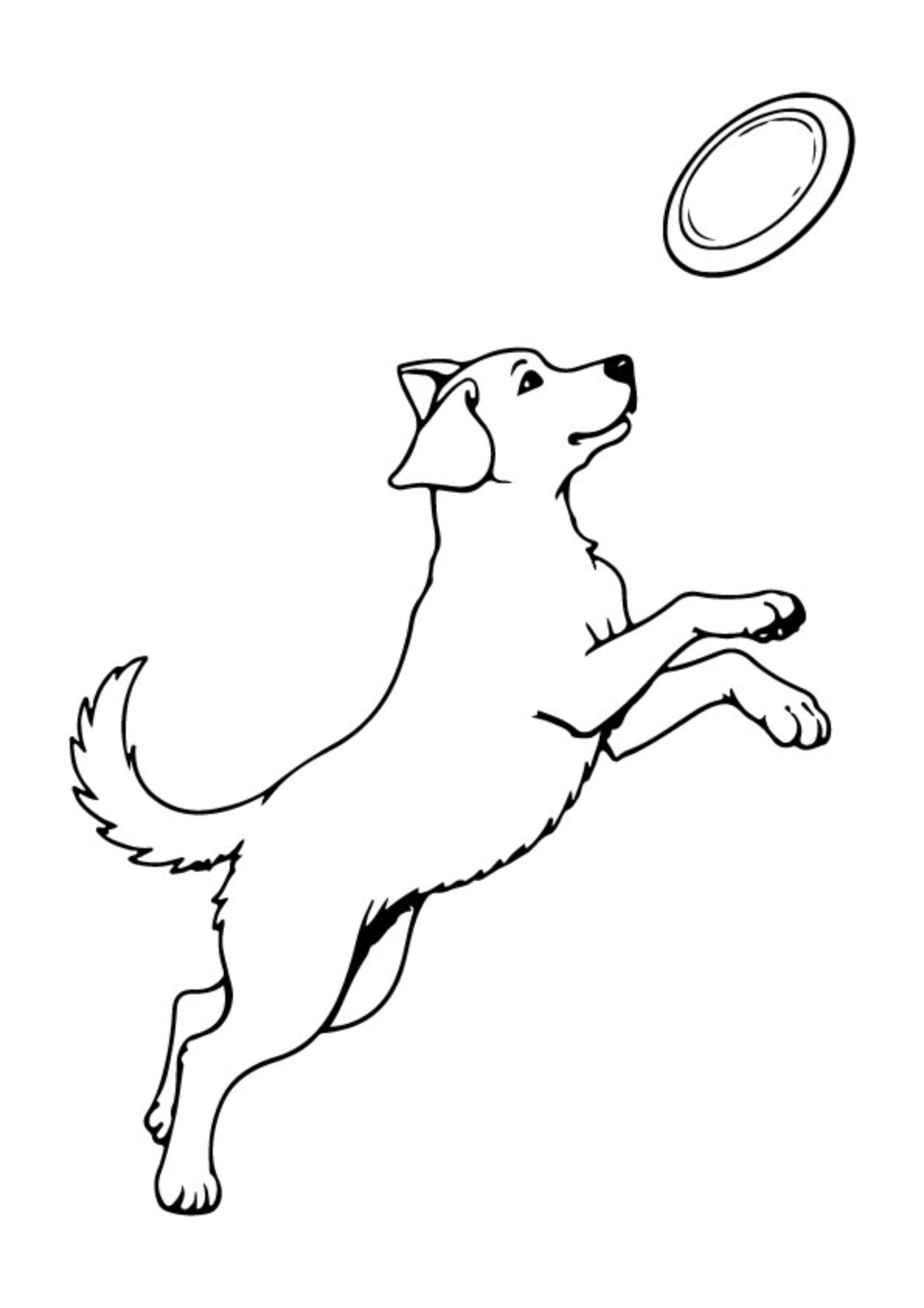 Dog Coloring Pages