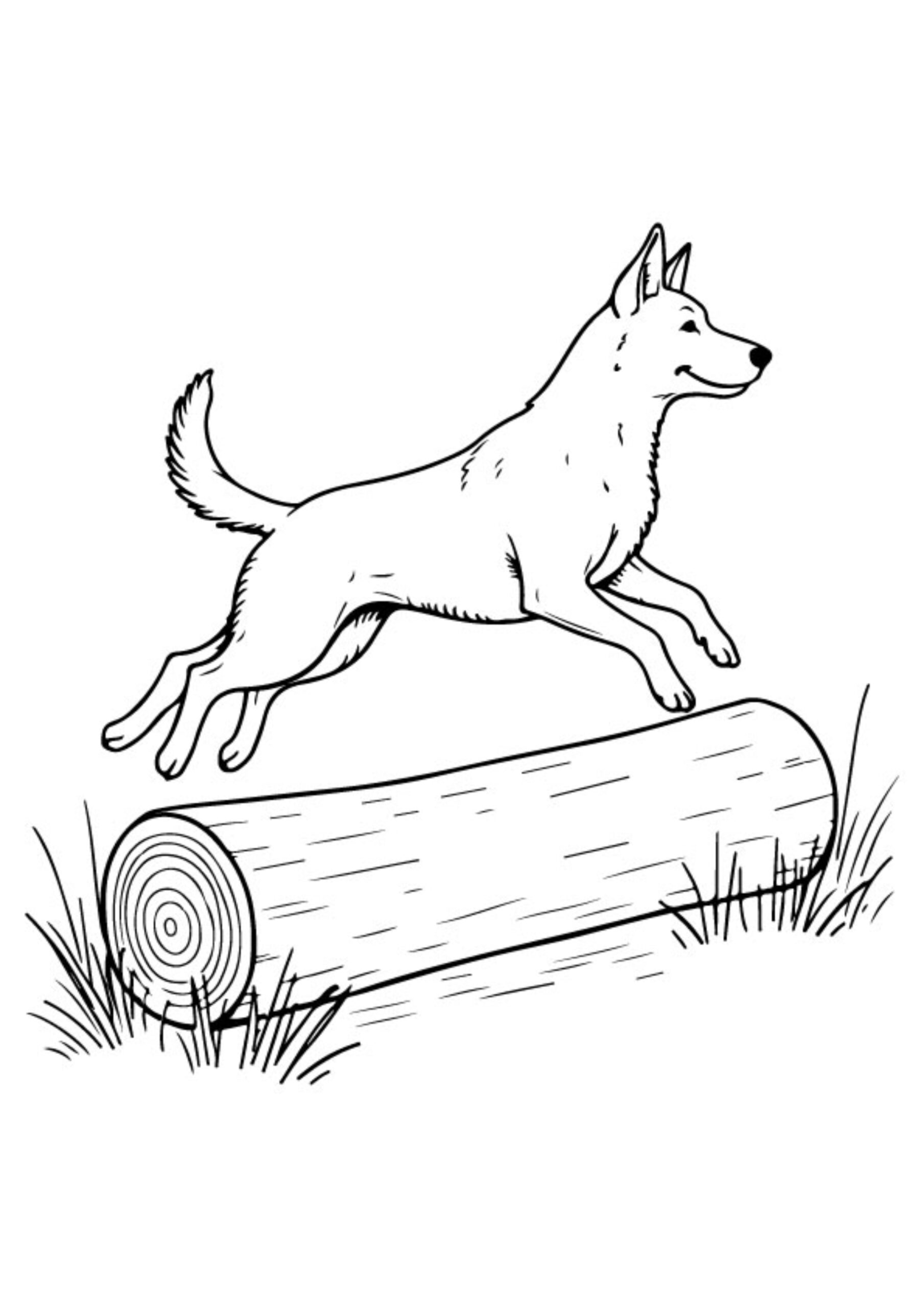 Dog Coloring Pages