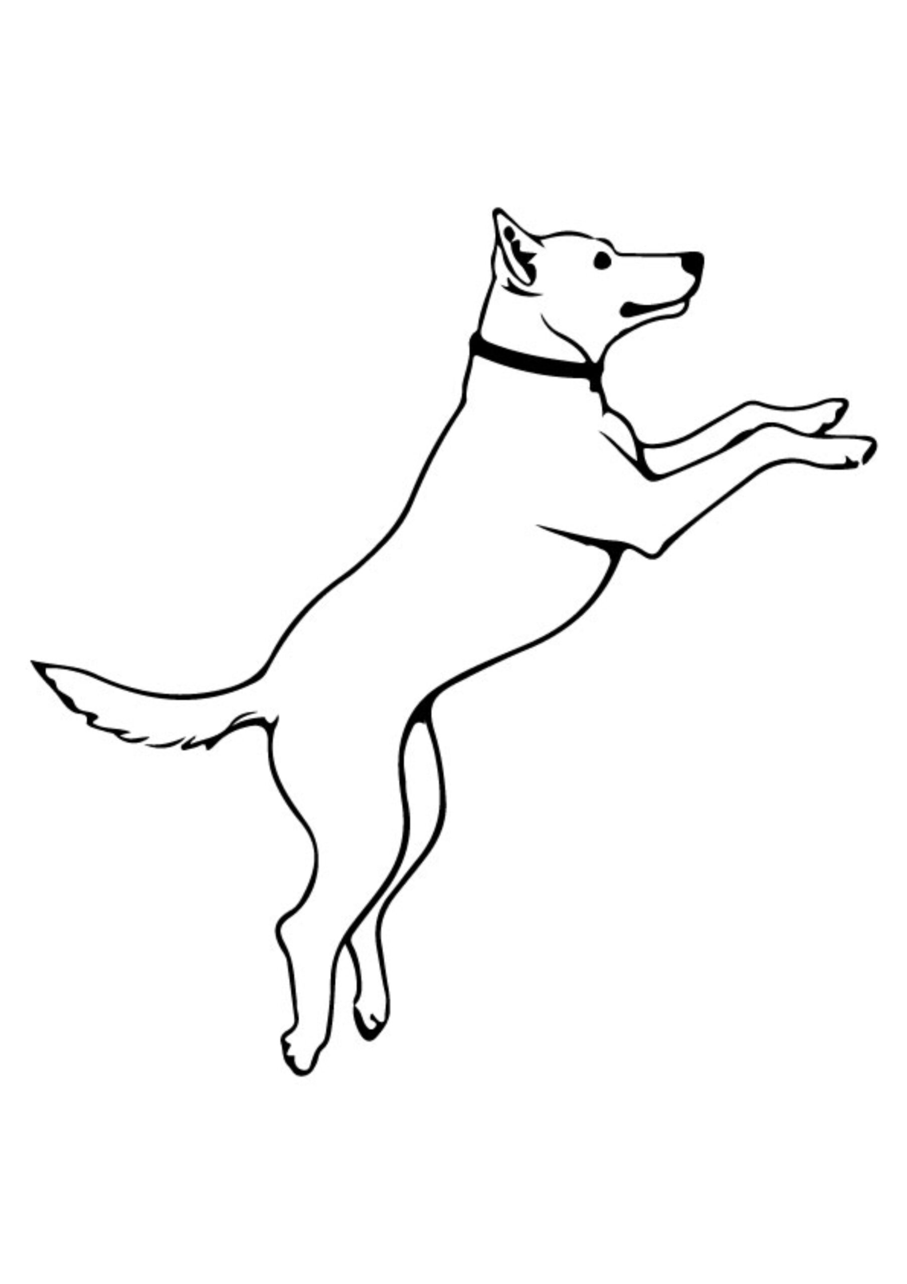 Dog Coloring Pages