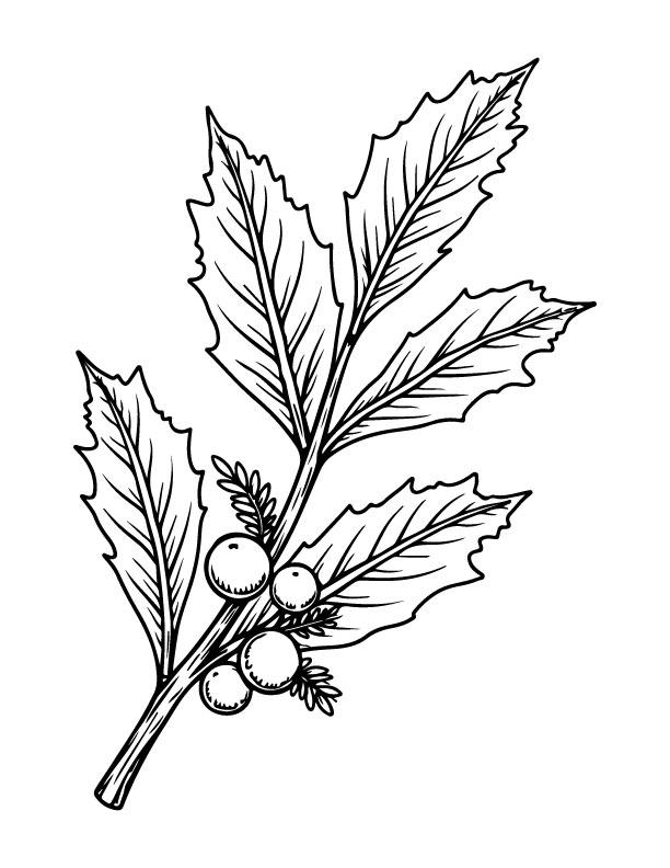christmas coloring page