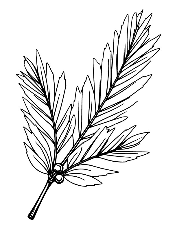 christmas coloring page
