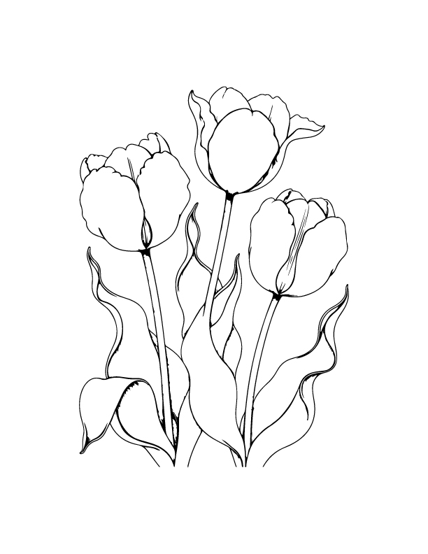 spring coloring page