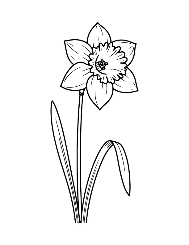 spring coloring page