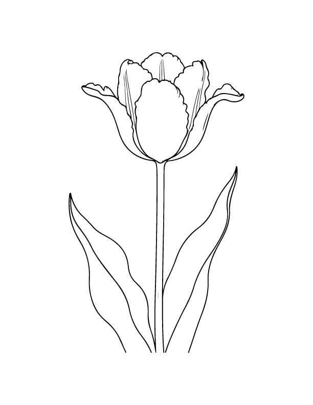 spring coloring page