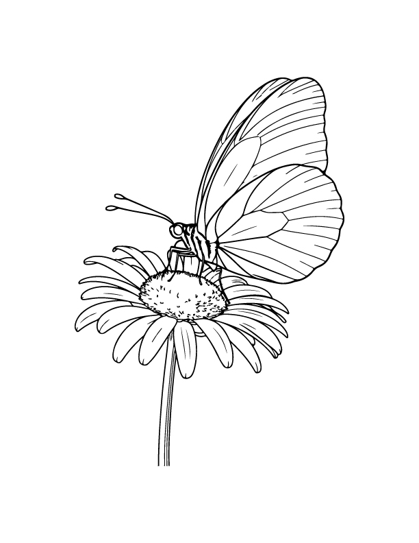 spring coloring page