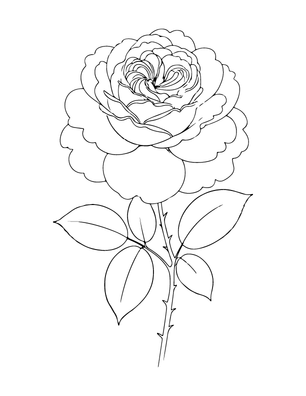 spring coloring page