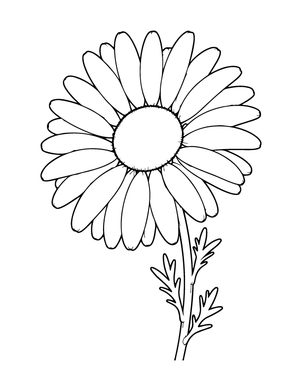 spring coloring page