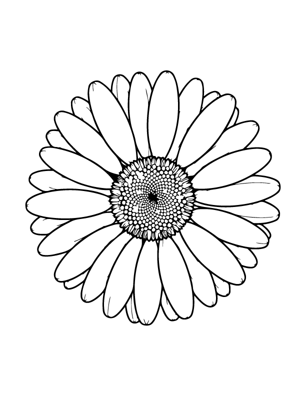 spring coloring page
