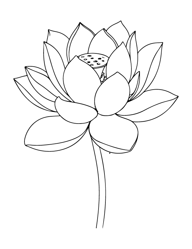 spring coloring page
