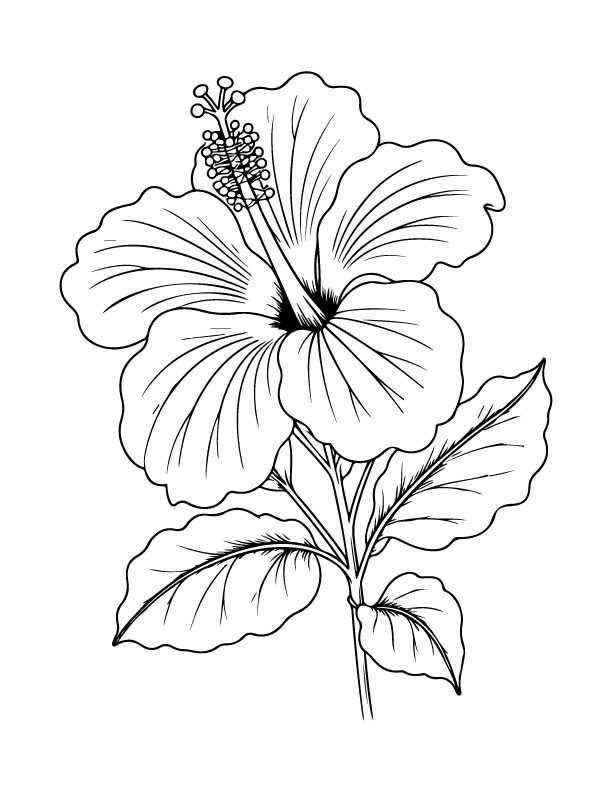 spring coloring page