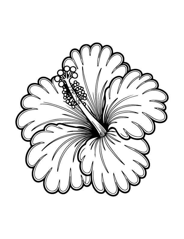 spring coloring page