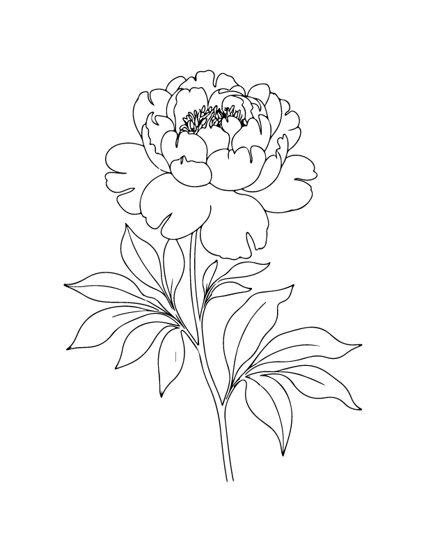 spring coloring page