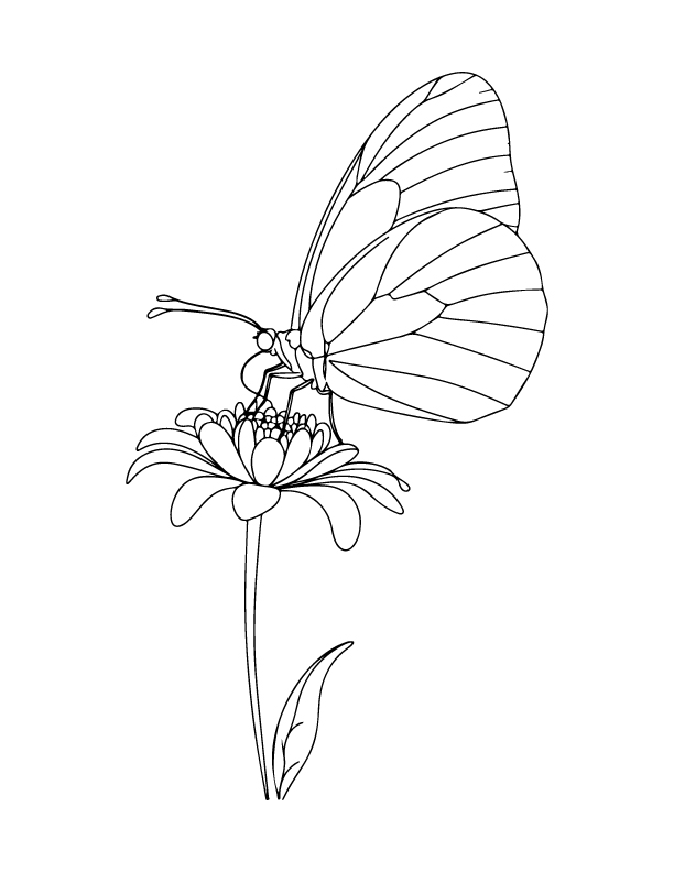 spring coloring page