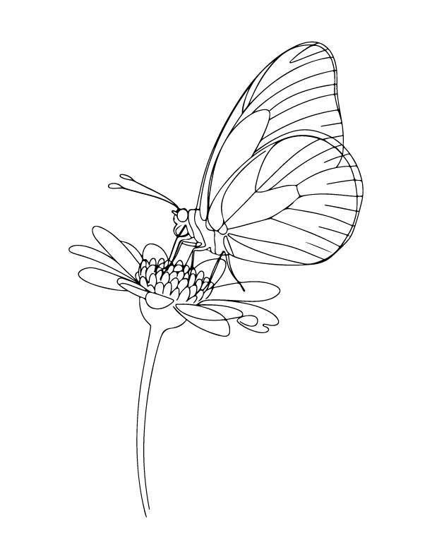 spring coloring page