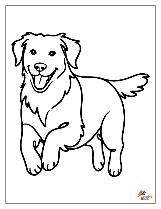 Golden Retriever Coloring Pages