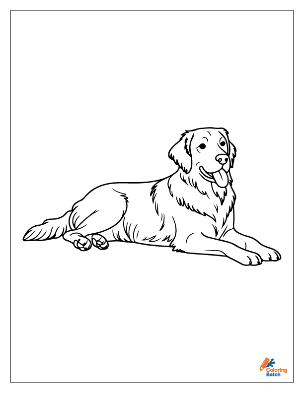 Golden Retriever Coloring Pages