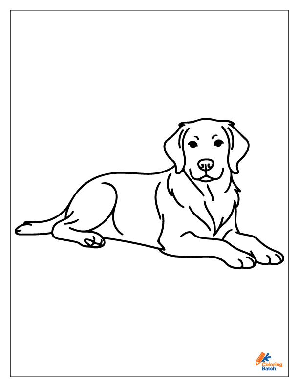 Golden Retriever Coloring Pages