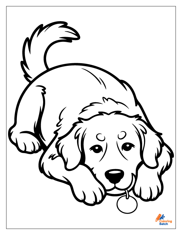 Golden Retriever Coloring Pages