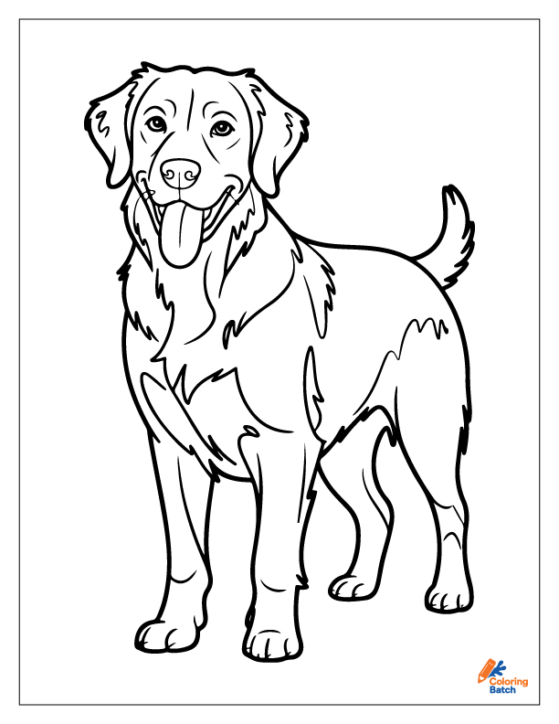 Golden Retriever Coloring Pages