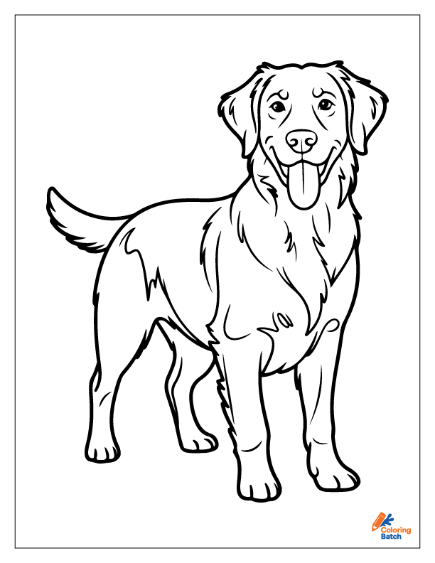Golden Retriever Coloring Pages