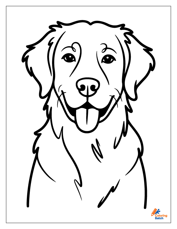 Golden Retriever Coloring Pages