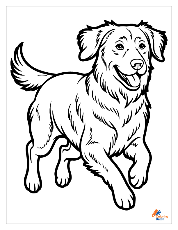 Golden Retriever Coloring Pages