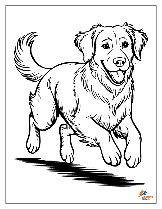Golden Retriever Coloring Pages