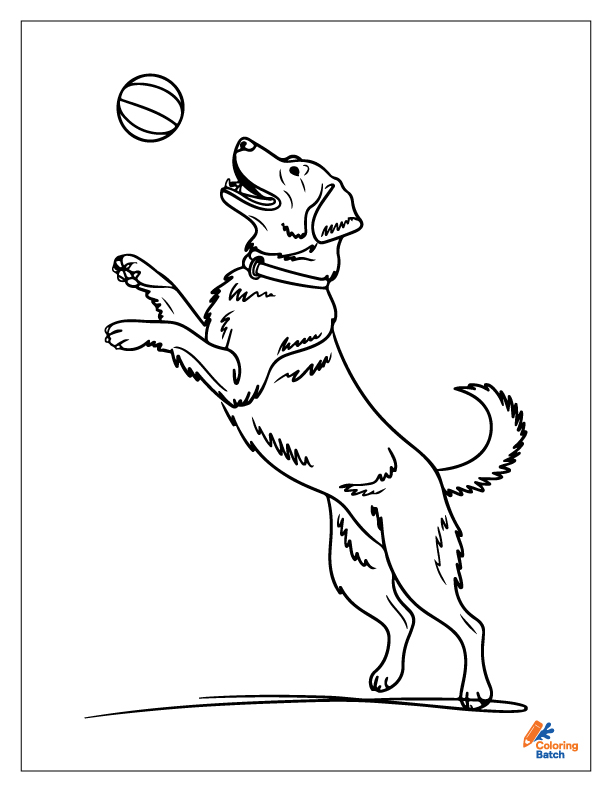 Golden Retriever Coloring Pages
