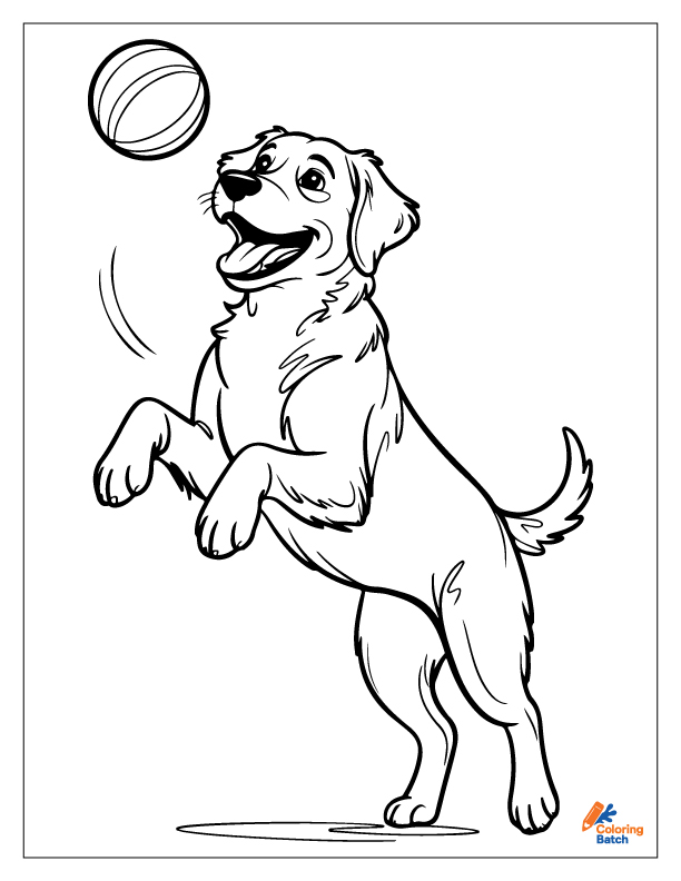 Golden Retriever Coloring Pages